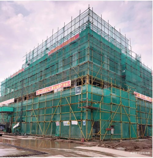 預(yù)計達(dá)產(chǎn)后年產(chǎn)值達(dá)30億元 提供約5000個就業(yè)崗位 肇慶這個項目有新進(jìn)展