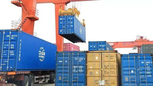 專人專班 ,中遠(yuǎn)海運服務(wù)中小外貿(mào)企業(yè) 出海