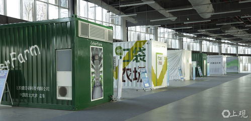 不再看天吃菜,142位青年學者比拼集裝箱里種生菜