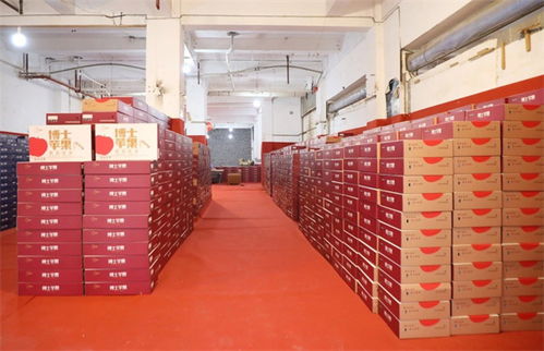 水果批發(fā)多個(gè)好去處 觀山湖這個(gè)交易中心即將開業(yè)